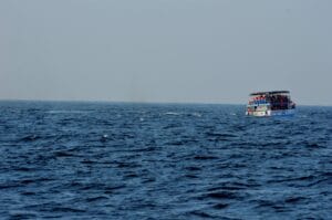 Mirissa whale Watching