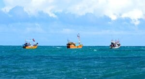 Mannar fishing boat and hundreds of dolphins swam and flipped around us. It felt surreal