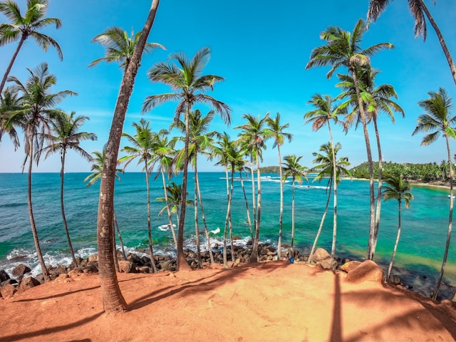 Mirissa beach