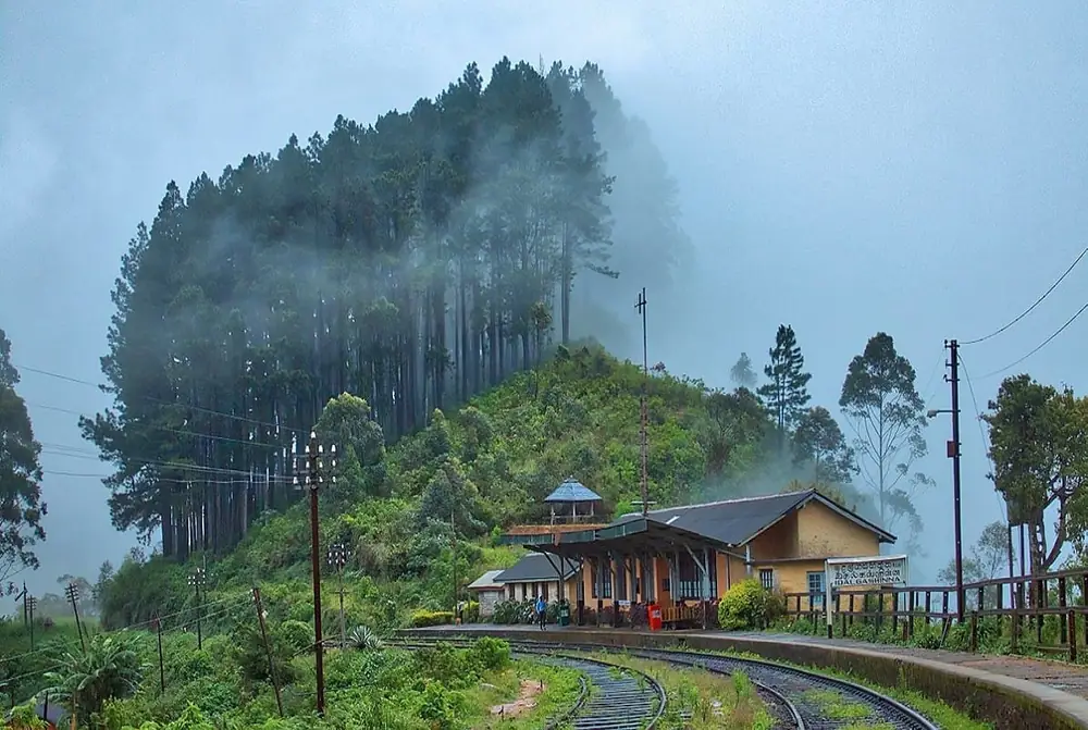 Small hill-country railway station surrounded by mist and forest in Sri Lanka's tea region