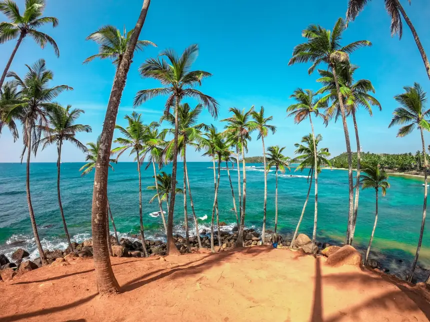 Coconut palms and turquoise sea on the beach at Mirissa on Sri Lanka's south coast