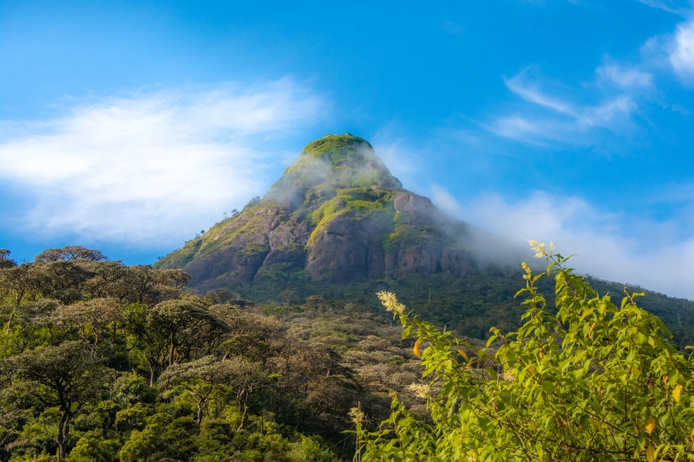 Adam's Peak (Sri Pada) im Hochland von Sri Lanka
